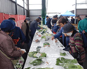 丹精に育てた農産物が並ぶ品評会